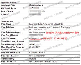 专业铸就速度 一位酒店管理公司老总如何在6个月内获批重大投资者签证